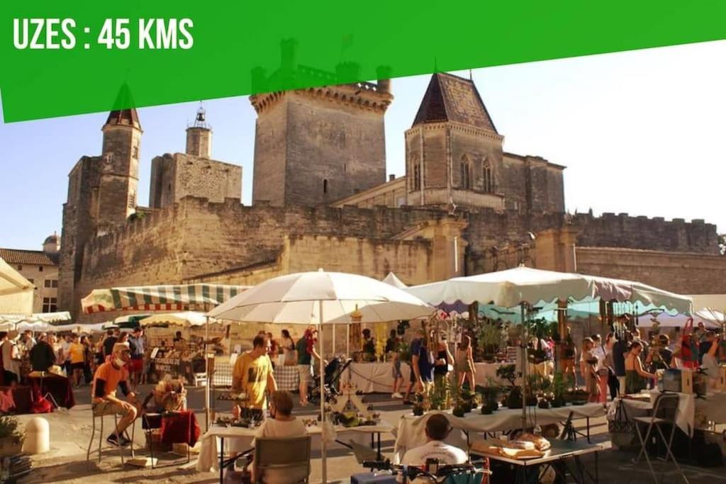 La Balance Des Doms - 1 Min Du Palais Des Papes - Intra-Muros Avignon Exterior photo